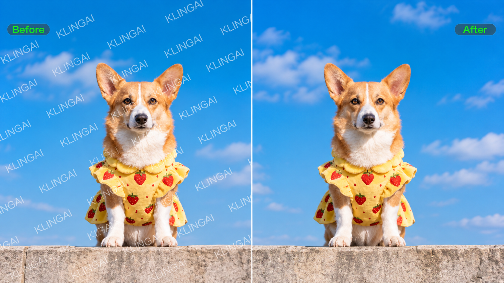 6 Best Watermark Remover Tools for Cleaner Photo Edits